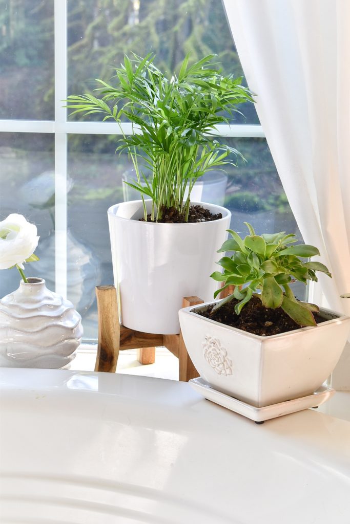 Living Plant Trend in Home Decor ⋆ SomeTyme Place ⋆ Cottage Home