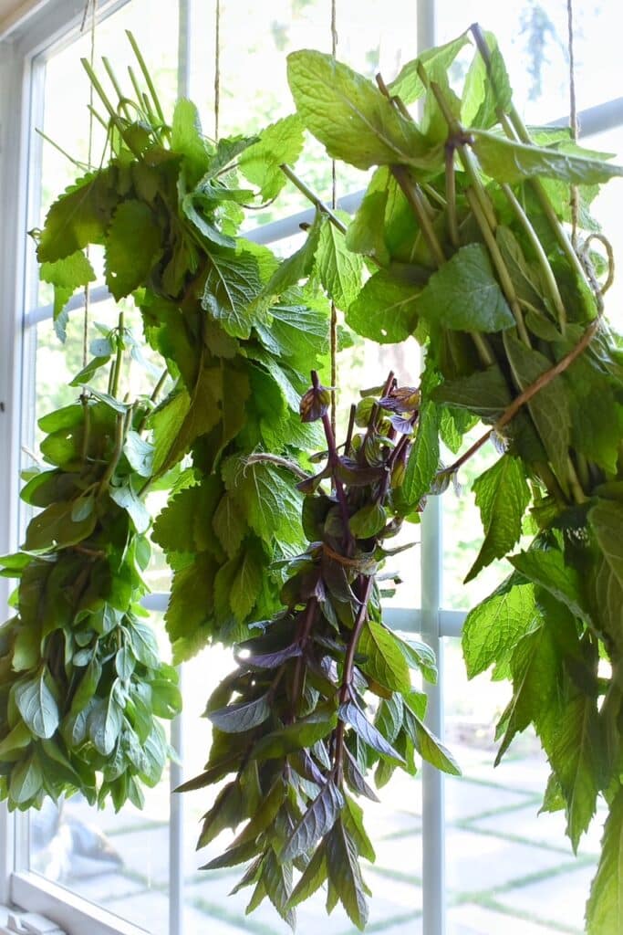 How To Dry Your Own Herbs SomeTyme Place   Snapseed 162 683x1024 