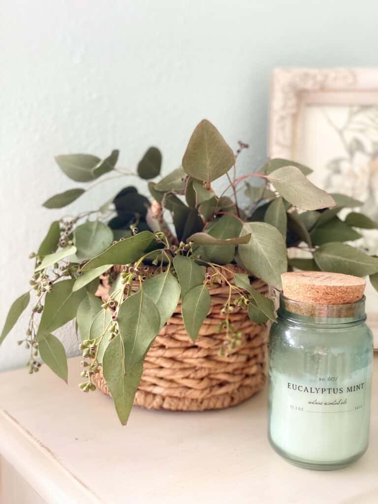 How to Dry Eucalyptus Naturally ⋆ SomeTyme Place