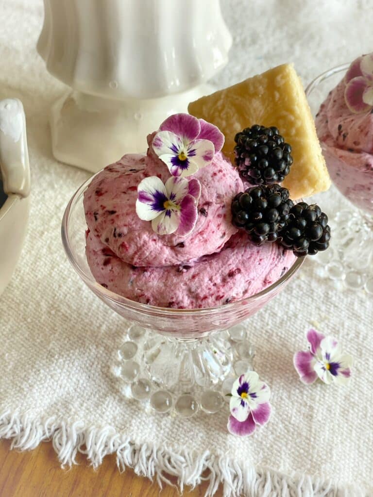 Blackberry Fool Dessert ⋆ SomeTyme Place